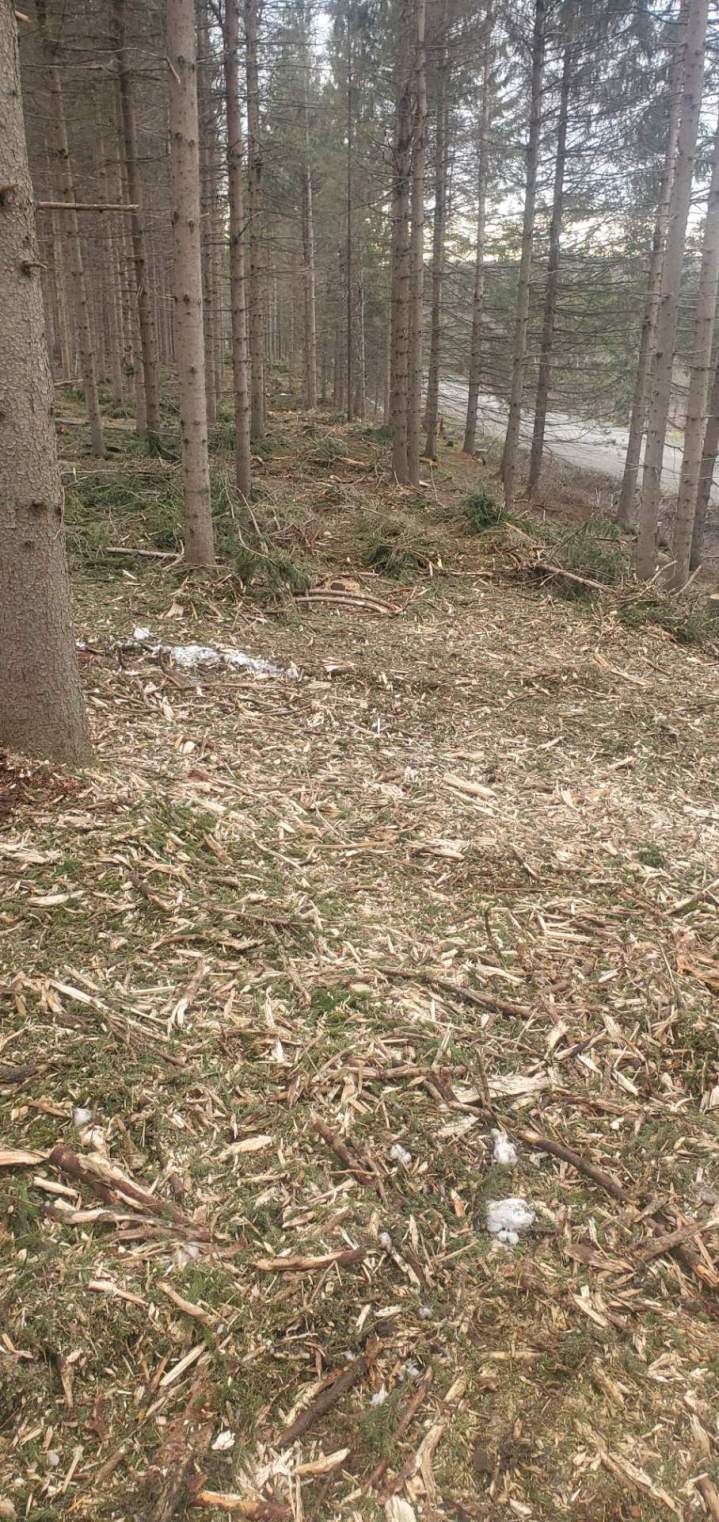 Entreprise de débroussaillage Valcourt