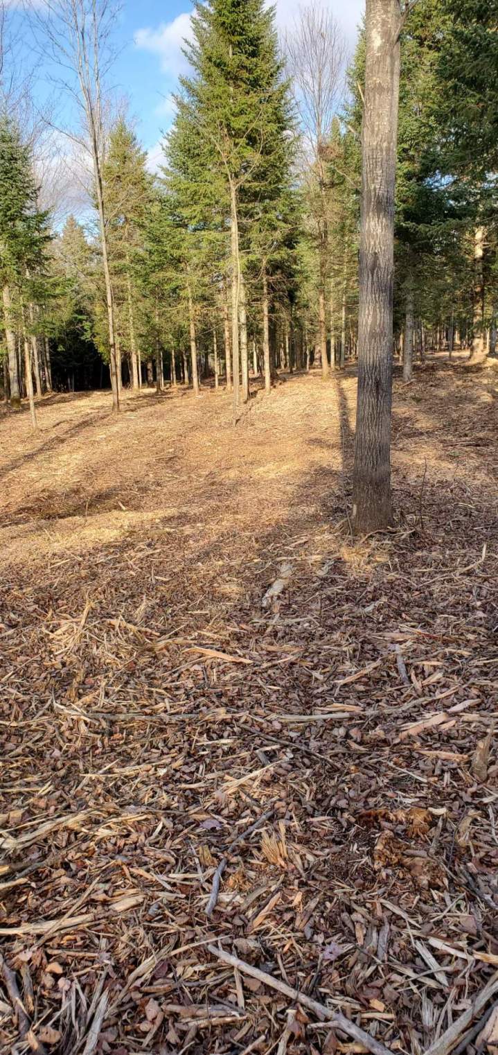 Travaux d'excavation Valcourt