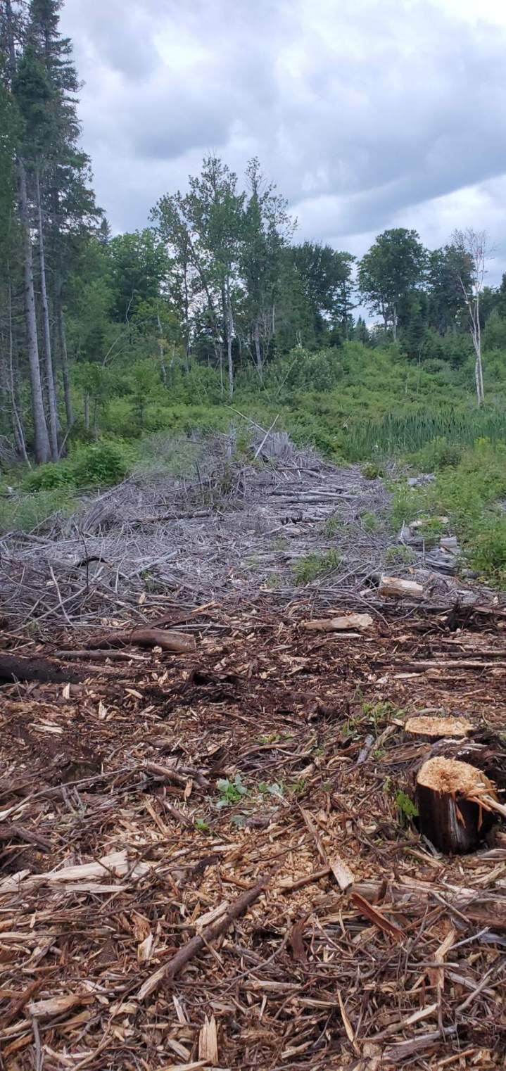 Entreprise de débroussaillage Valcourt