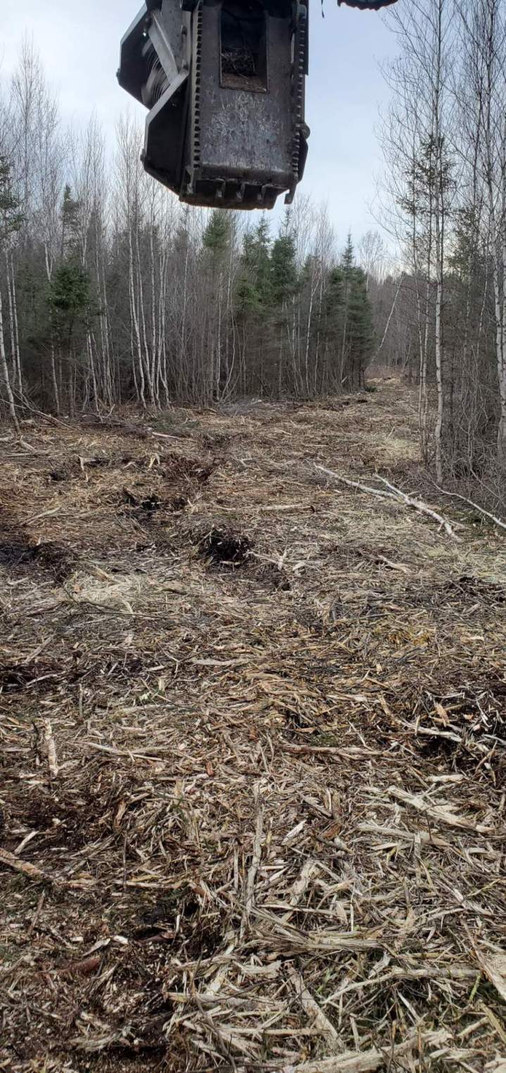Entreprise de débroussaillage Valcourt