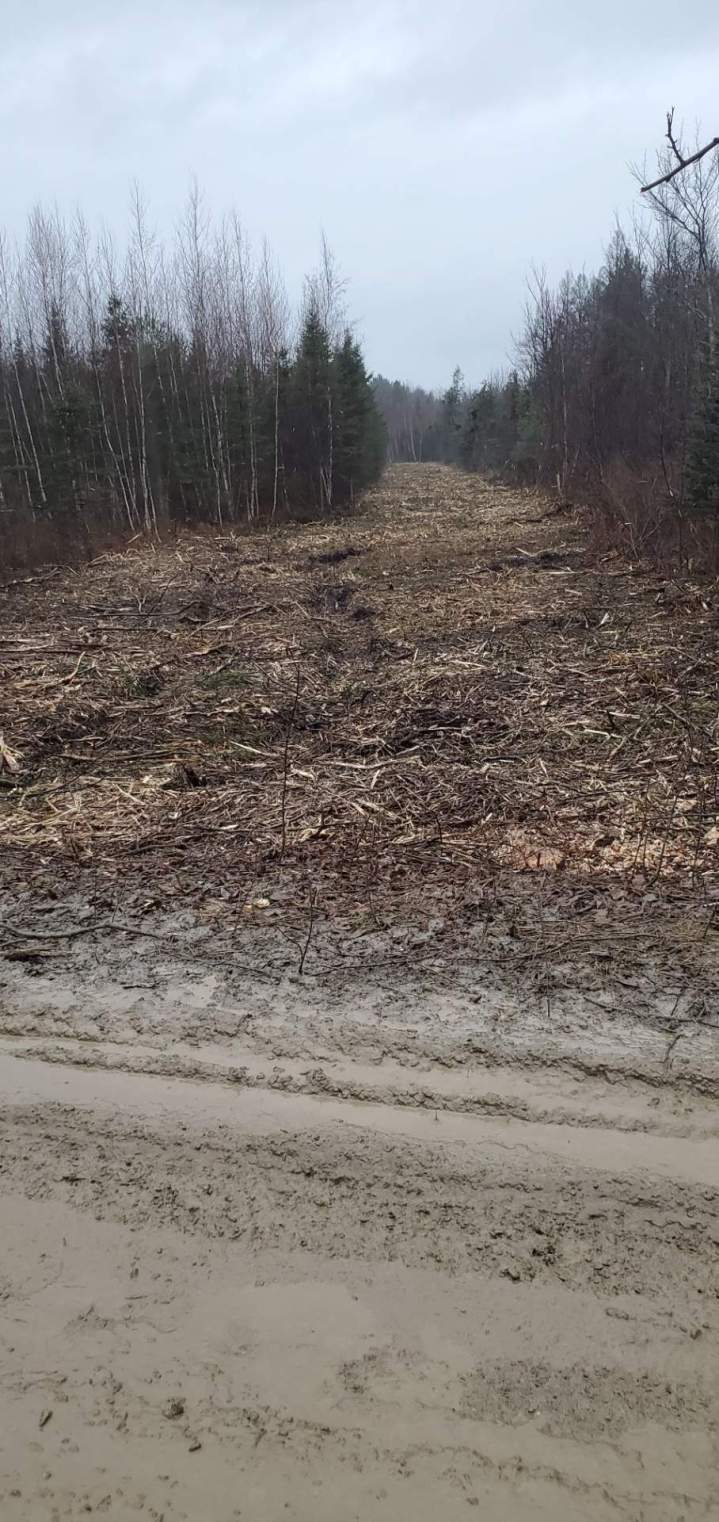 Entreprise de débroussaillage Valcourt